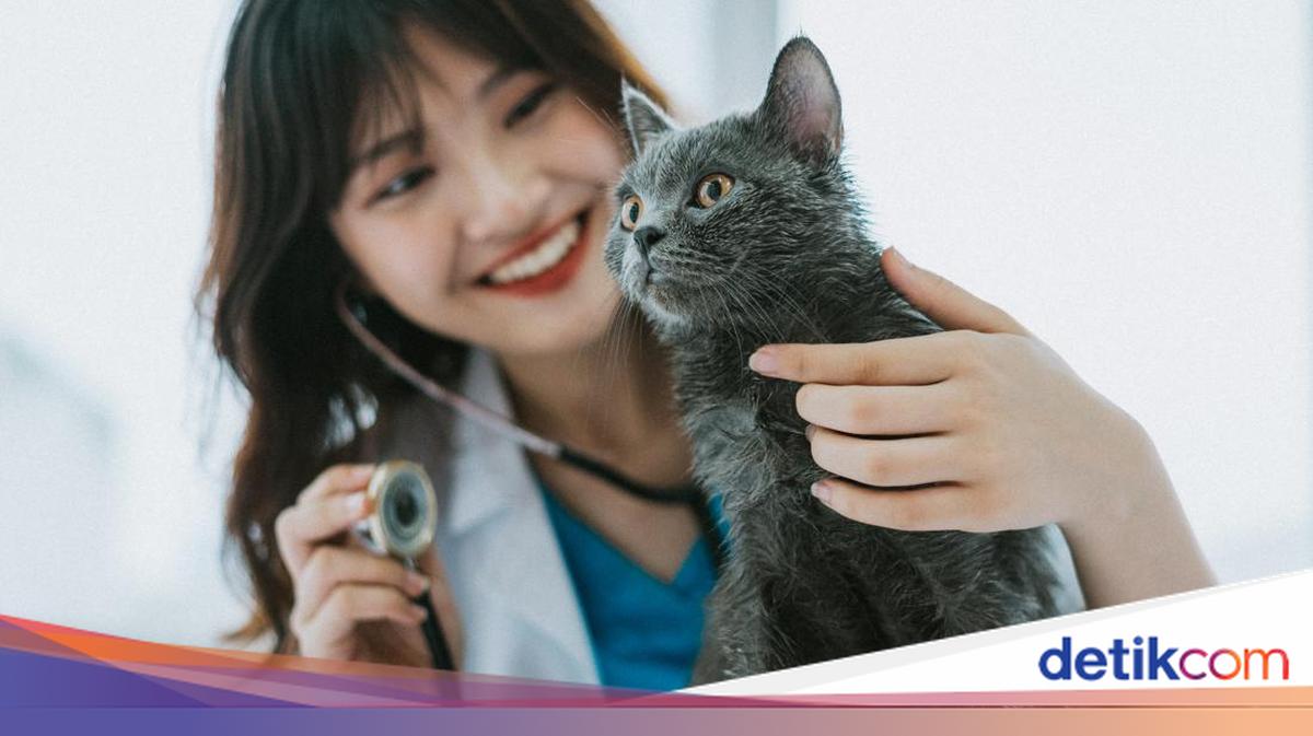 Pekerjaan Ideal untuk Introvert dengan Gaji Menjanjikan