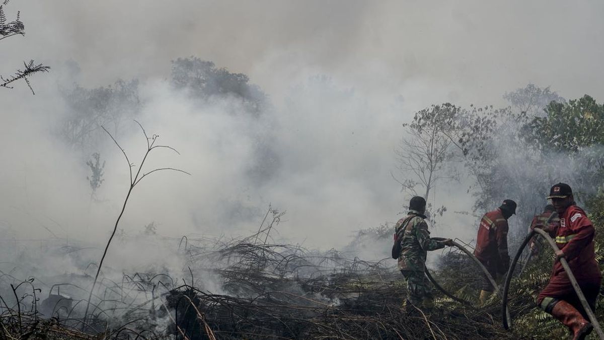 Desakan Anggota DPR untuk Menetapkan Karhutla Kalimantan sebagai Bencana Nasional