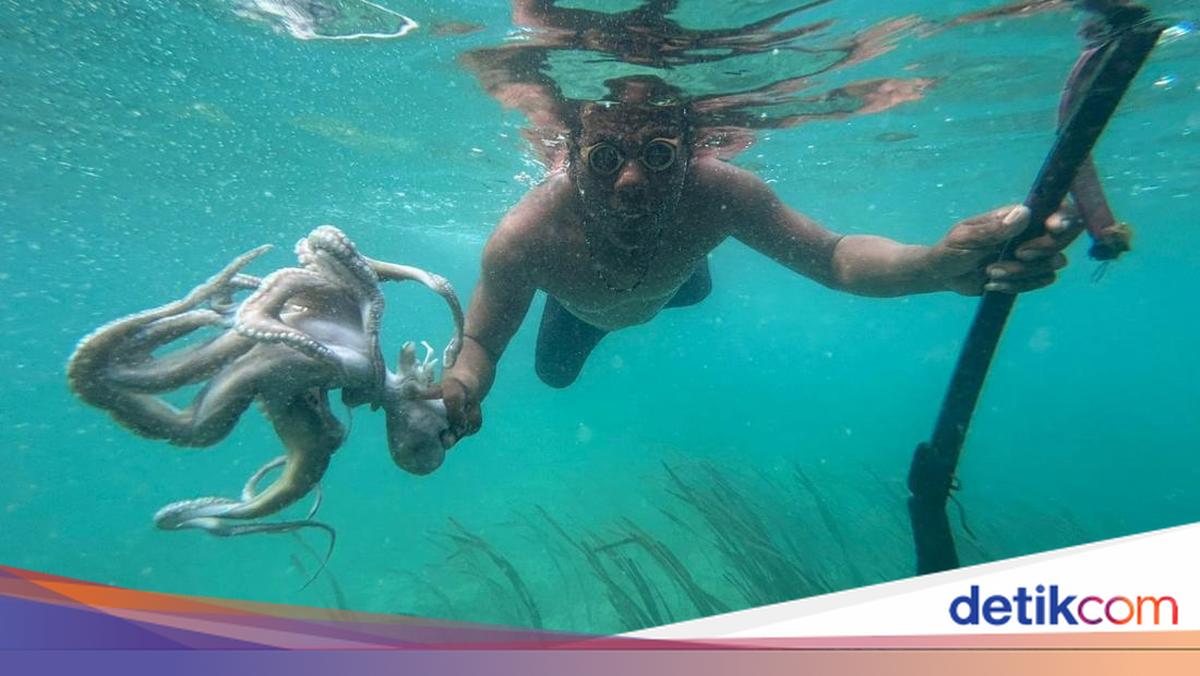 Evolusi Manusia: Suku Bajo dan Adaptasi Lingkungan yang Menarik