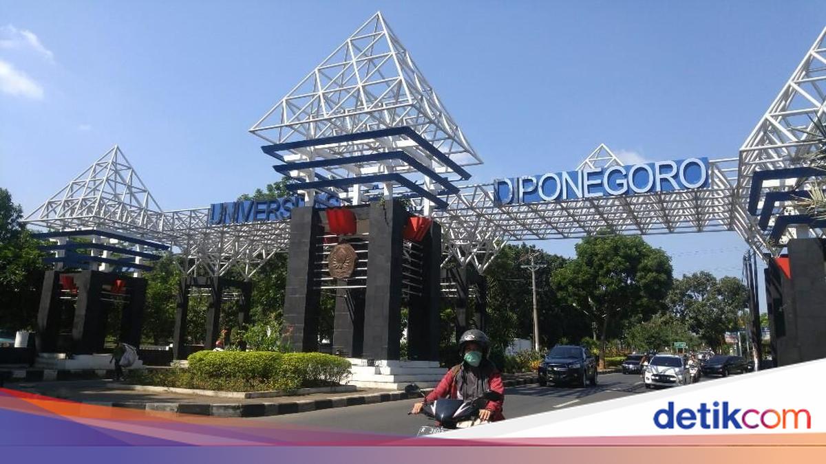 Biaya Kuliah Jalur Mandiri Universitas Diponegoro 2026, Uang Gedung Terendah Rp 10 Juta!
