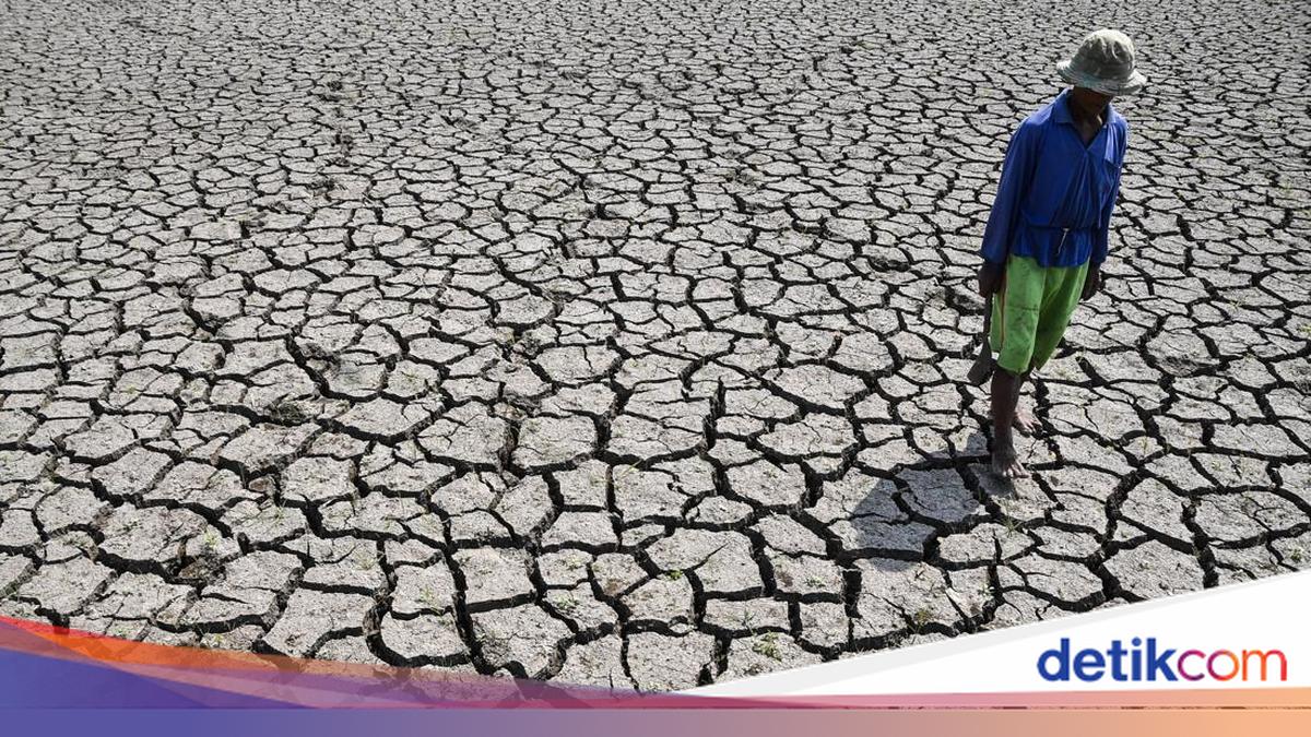 BMKG Mengeluarkan Peringatan Dini Kekeringan Meteorologis, Pulau Jawa Dalam Ancaman