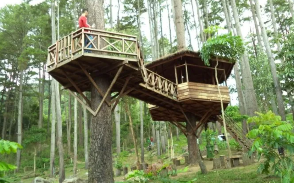 Dedi Hentikan Izin Pembangunan Wisata dan Perumahan di Kawasan Hutan Jabar