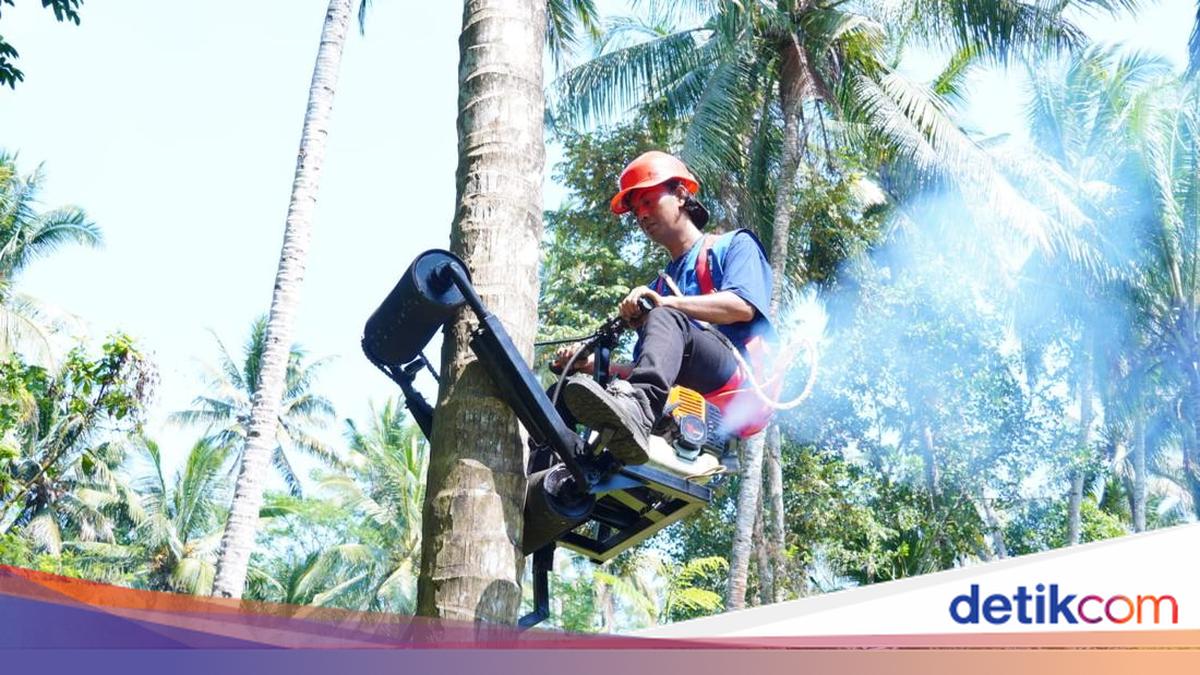 Inovasi Alat Panjat Kelapa dari ITS Permudah Proses Panen