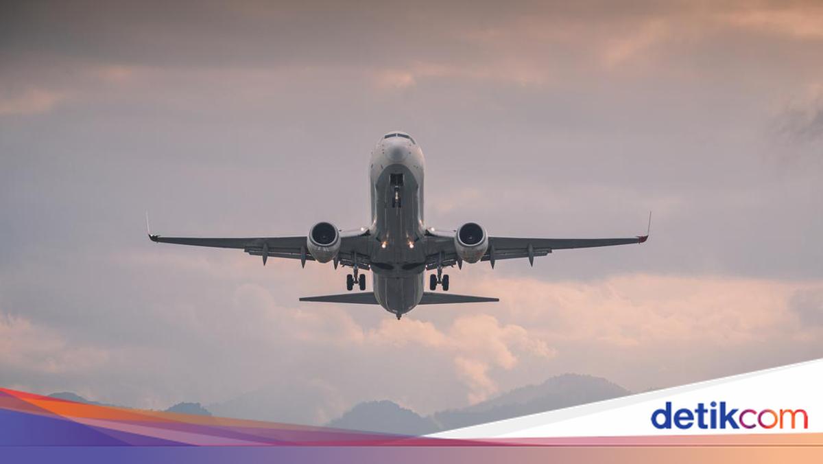 Insiden Mengerikan Penerbangan Air India: Pilot Positif Ganja