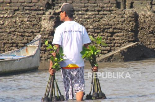 BNI Tegaskan Komitmen Pelestarian Lingkungan di Hari Mangrove Sedunia