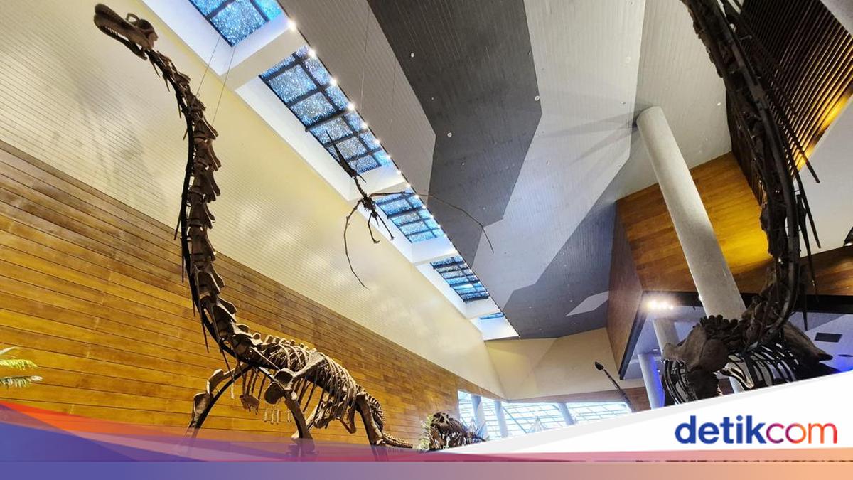 Pameran Fosil Dinosaurus Pertama di Indonesia, Ditemukan di China