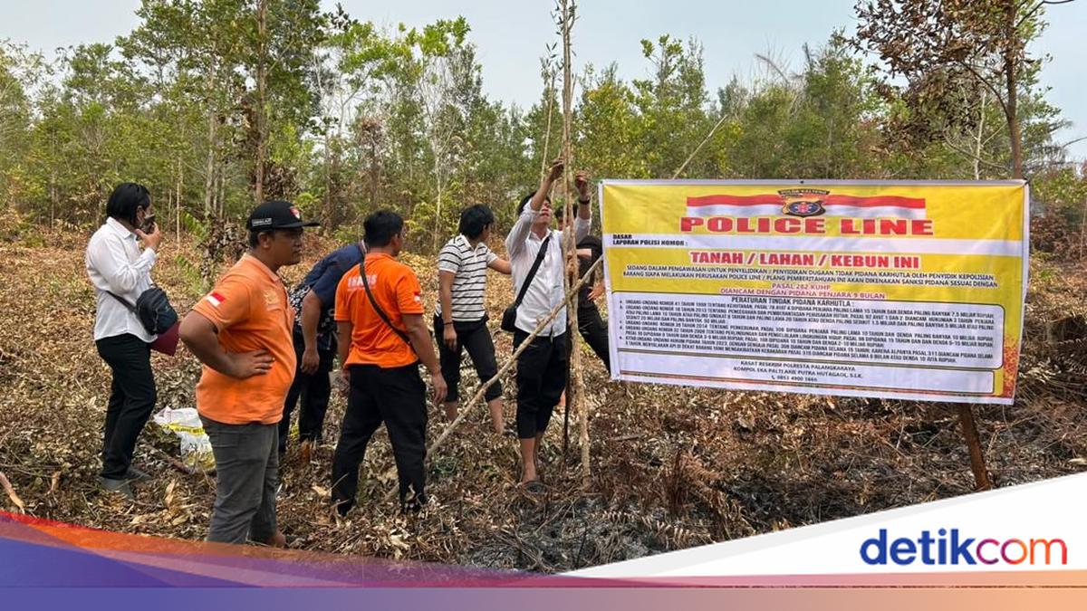 ---
Motif Pembakaran Lahan oleh 'Pria Senter' di Kalteng Terungkap

---