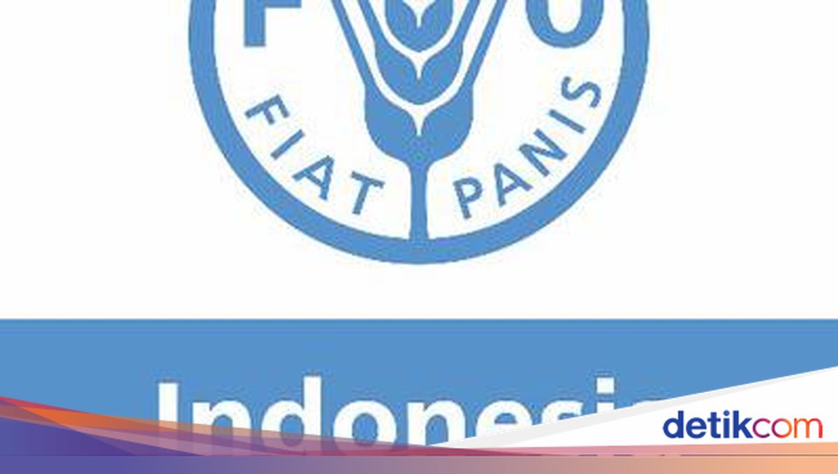 FAO Indonesia Membuka Kesempatan Kerja, Daftar Sebelum 14 Agustus!
