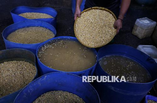 Kenaikan Harga Kedelai Picu Produsen Tahu Tempe Kecilkan Ukuran Produk