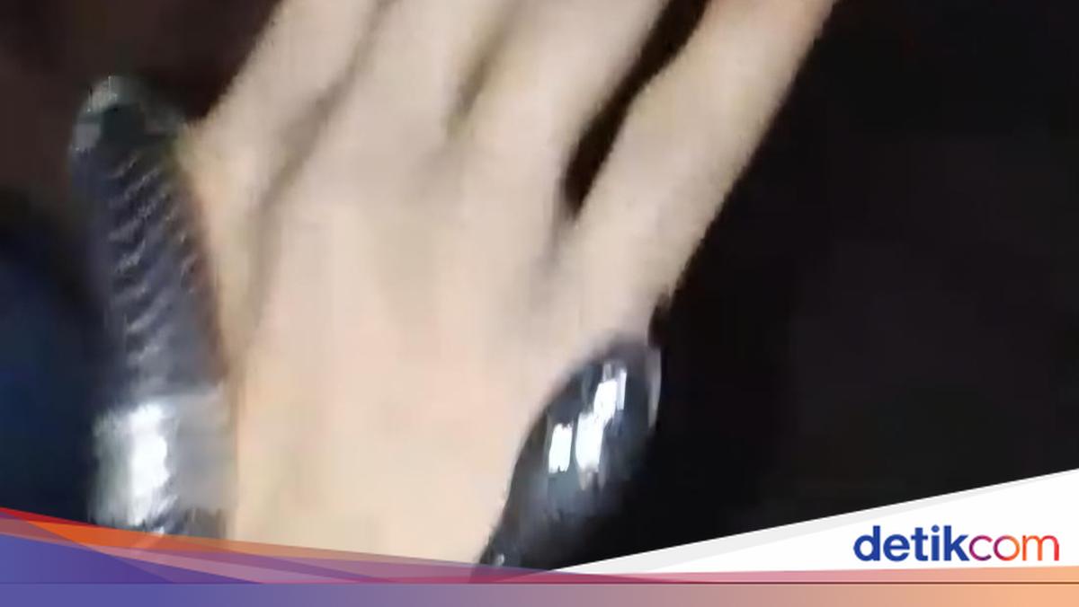 Tragedi Gigitan Ular Weling di Bogor: Satu Pemuda Meninggal Dunia