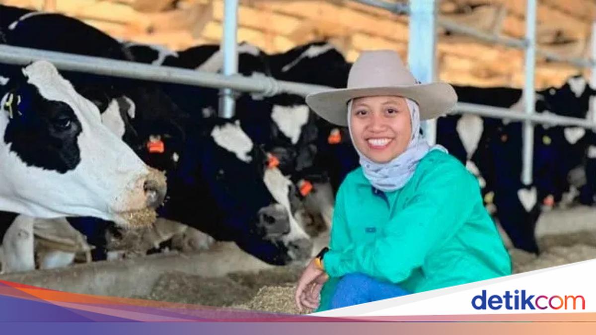 Kisah Sukses Luthfin: Lulusan Peternakan UMM yang Berkarier di Australia