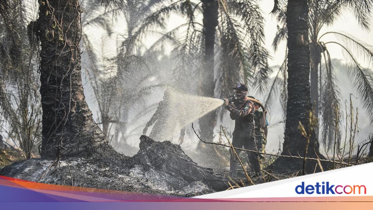 Tantangan Kebakaran Tanah Gambut dan Inovasi BRIN untuk Penanganannya