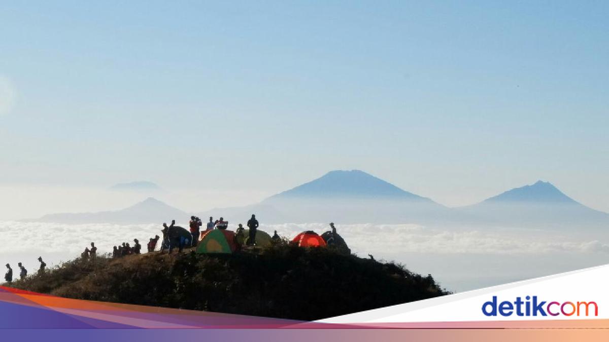 Sejoli Pendaki Terekam Mesum di Gunung Prau, Terjadi Keributan